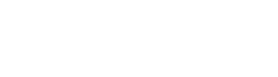 White wordmark